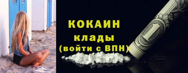 МДПВ Кукмор